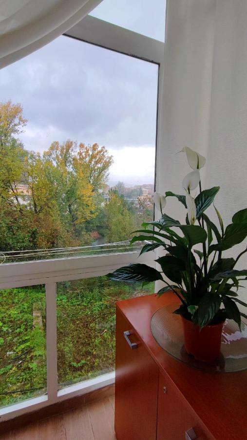 Il Roseto Bed and Breakfast Φροζινόνε Εξωτερικό φωτογραφία