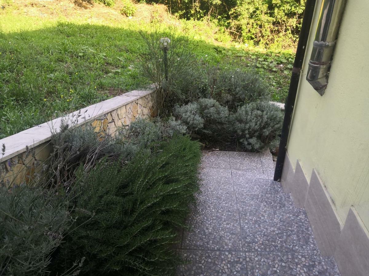 Il Roseto Bed and Breakfast Φροζινόνε Εξωτερικό φωτογραφία